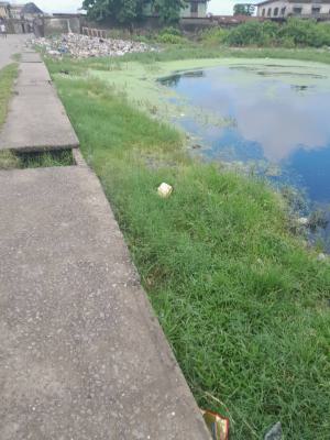 One Acre Plot of Land, Lagos State University Axis, Okokomaiko, Ojo, Lagos, Mixed-use Land for Sale