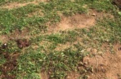Massive Hectares of Land for Outright Purchase, Kabusa, Abuja, Mixed-use Land for Sale