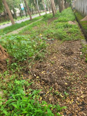 Exclusive 500sqm Guzape Metropolitan Estate Plot, The Bash, Guzape District, Abuja, Residential Land for Sale
