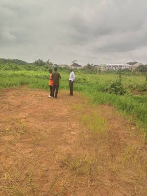 Spacious Land, Berger, Arepo, Ogun, Land for Sale