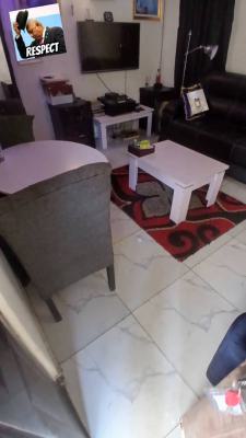 Furnished Room and Palour Self Contained, Showande Omolayo Estate, Ibadan, Oyo, Mini Flat (room and Parlour) for Rent