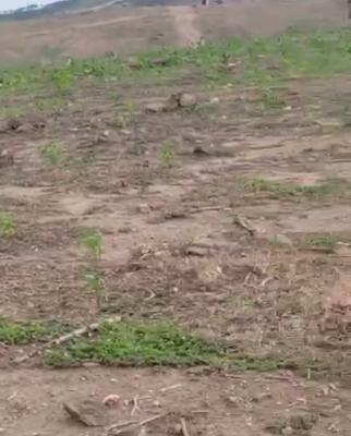 a Dry Land for Development, Ikoyi, Lagos, Mixed-use Land Joint Venture
