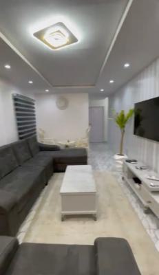 Furnished 2 Bedroom Flat, Maryland Estate, Maryland, Lagos, Flat / Apartment for Rent
