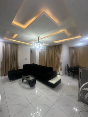 Furnished 2 Bedroom Flat with 24 Hours Light, Ologolo, Lekki, Lagos, Flat / Apartment for Rent