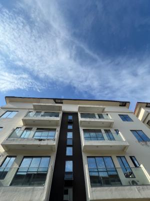 Fully Furnished Exotic 2-bedroom Apartment in a Flood-free Area, Ikate, Lekki, Lagos, Flat / Apartment for Rent