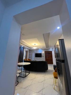 Fully Furnished Urban-styled 2-bedroom Apartment in a Flood-free Area, Ikate, Lekki, Lagos, Flat / Apartment for Rent
