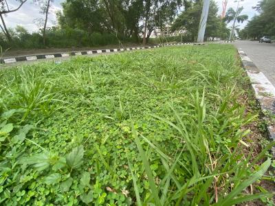 Direct Premium Waterfront Land, Ikoyi Lagos, Ikoyi, Lagos, Land for Sale