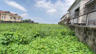 Direct Brief Exclusive 3000sqm Waterfront Land with Jetty, Osborne Foreshore Estate Phase 1, Osborne, Ikoyi, Lagos, Land for Sale