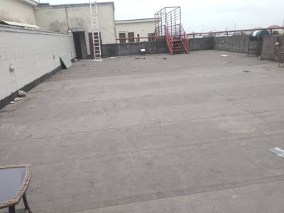 2 Bedroom Flat with a Room Bq, Honeyville Estate, Agungi, Lekki, Lagos, Flat / Apartment for Sale