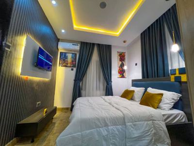 Luxury 4 Bedroom Fully Detached Duplex, Surulere, Lagos, Detached Duplex Short Let