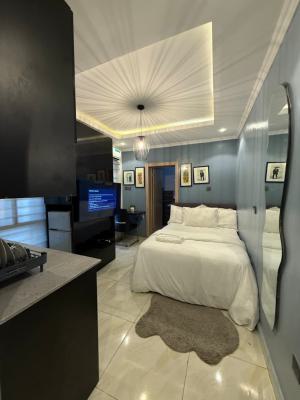 Tomi Luxury and Spacious 1 Bedroom Studio Apartment, Ikate, Lekki, Lagos, Flat / Apartment Short Let