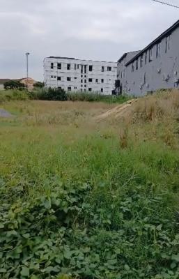 2,000sqm Facing Lekki Epe Express, By Eleganza Bus Stop, Lekki, Lagos, Commercial Land for Sale