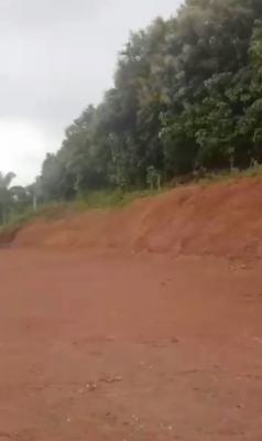 20.13 Hectares for Outright Purchase, Karsana West, Karsana, Abuja, Mixed-use Land for Sale