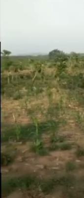 13 Hectares for Outright Purchase, Karsana West, Karsana, Abuja, Mixed-use Land for Sale