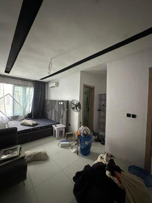Well Maintained 2 Bedroom Serviced Apartment, Ikate, Lekki, Lagos, Flat / Apartment for Rent
