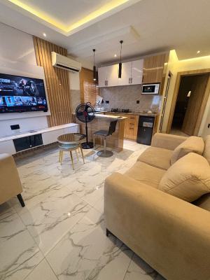 Cozy 24/7 Electricity 1 Bedroom Apartment, Femi Olaranwaju Street, White House, Ajasa Command, Alimosho, Lagos, Mini Flat (room and Parlour) Short Let
