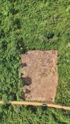 Own Fertile  Farmland and Invest in The Cultivation of High-demand, Tejoun Kesi Village, Alabata – Funnabaxis,, Abeokuta South, Ogun, Mixed-use Land for Sale