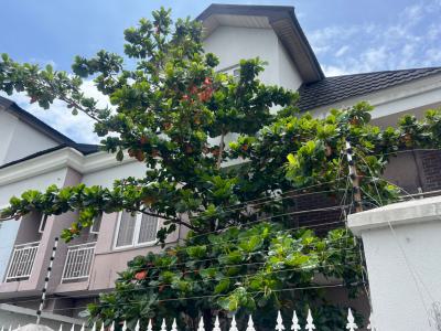 5 Bedroom Semi Detached Duplex with Bq, Off Providence, Lekki Phase 1, Lekki, Lagos, Semi-detached Bungalow for Rent