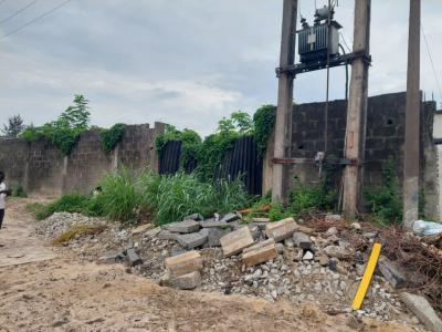 Land  10,000 Sqm, Parkview, Ikoyi, Lagos, Residential Land for Sale