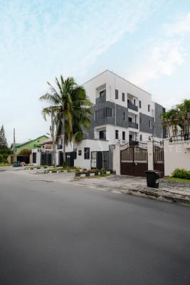 Delightful and Exquisite Spacious Neely Renovated 5 Bedroom Duplex, Lekki Phase 1, Lekki, Lagos, Detached Duplex for Rent
