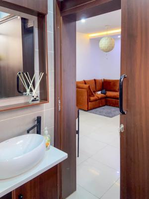 Nicely Furnished Studio Apartment, Ikate Elegushi, Lekki, Lagos, Flat / Apartment Short Let