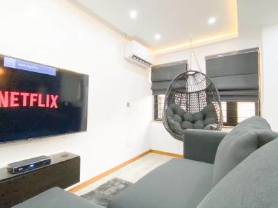 Nicely Furnished 1 Bedroom Apartment, Ikoyi, Lagos, Flat / Apartment Short Let