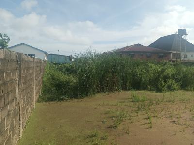 Primely Located 2 Contiguous Plots, 1600sqm Ripe for Development, Off Apple Junction Road, Amuwo Odofin, Lagos, Residential Land for Sale