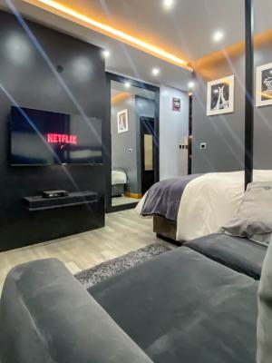 Nicely Furnished Studio Apartment, Ikoyi, Lagos, Flat / Apartment Short Let