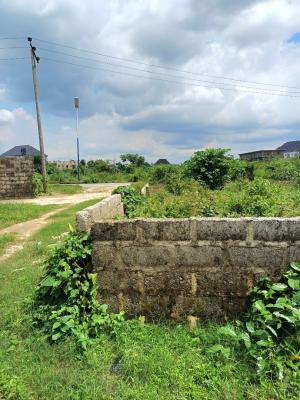 Prime 330 Sqm Land, Rukpokwu, Port Harcourt, Rivers, Mixed-use Land for Sale