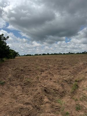 Ng Farm City, Ofuape Village 5 Acres, Abeokuta North, Ogun, Land for Sale