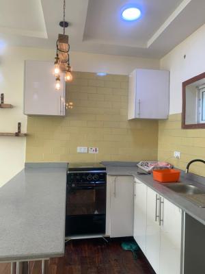 Exclusive One Bedroom Service Apartment with Open Plan Kitchen, Ikate, Lekki, Lagos, Mini Flat (room and Parlour) for Rent
