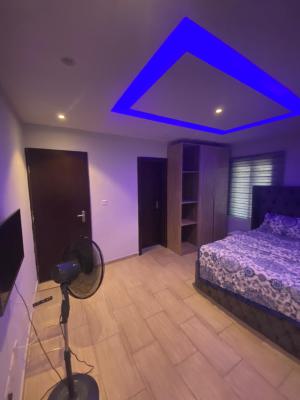 Fully Furnished Mini Flat, Close to The Express Road, Abijo, Lekki, Lagos, Mini Flat (room and Parlour) for Rent
