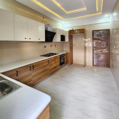 4 Bedroom Terraced Duplex with a Bq, Ikate, Ikate, Lekki, Lagos, House for Rent
