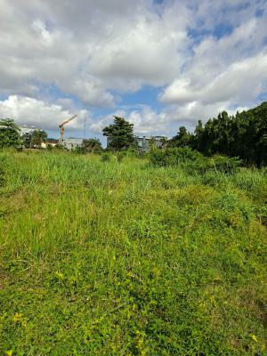 Fantastic Land, Ikeja Gra, Ikeja, Lagos, Land for Sale
