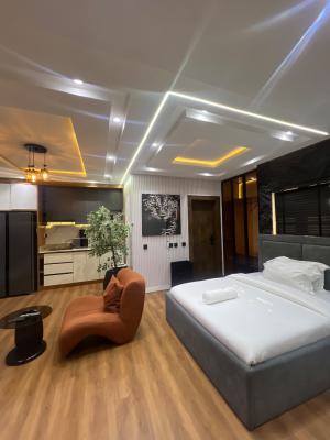 Newly Out Cozy Studio Apartment, Ikate Lekki Lagos, Ikate, Lekki, Lagos, Detached Duplex Short Let