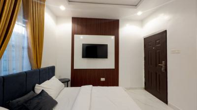 Nicely Furnished Studio Apartment, Surulere, Lagos, Flat / Apartment Short Let