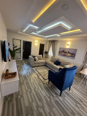 Nicely Furnished 2 Bedroom Apartment, Surulere, Lagos, Flat / Apartment Short Let