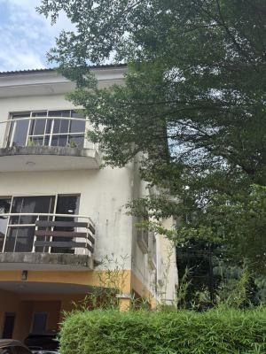 Fully Detached 5 Bedrooms Duplex with Two Rooms Boys Quarters, Ikoyi, Lagos, Detached Duplex for Rent