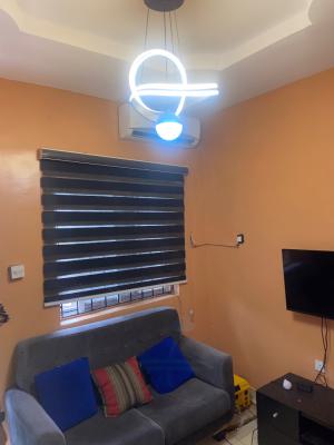 Fully Furnished Living Room and Bedroom Modern Kitchen with Appliances, Fola Agoro Yaba, Fola Agoro, Yaba, Lagos, Mini Flat (room and Parlour) for Rent