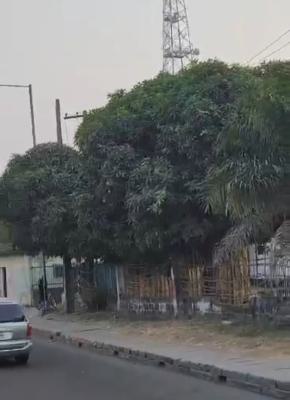 1.5 Hectares (15,000sqm) in a Commercial Enclave of Surelere, Lagos., Bode Thomas/ Western Avenue, Surelere, Lagos, Bode Thomas, Surulere, Lagos, Mixed-use Land for Sale