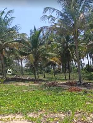 Farm with Palm Tree, Poultry Pen, Cattle Ranch, Rice Mill, Obokun Farm, Egbeda, Oyo, Mixed-use Land for Sale