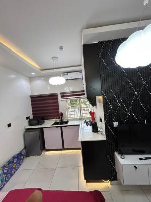 *scarlet Rosa Studio*   Finely Furnished Studio Apartment with Swimmin, Oniru, Victoria Island (vi), Lagos, Self Contain (single Rooms) Short Let
