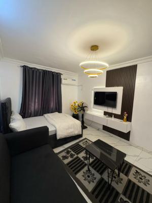 Nicely Furnished Studio Apartment, Akoka, Yaba, Lagos, Flat / Apartment Short Let