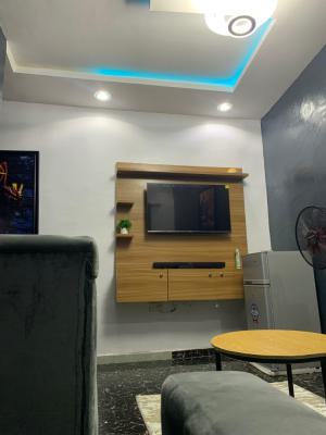Nnicely Furnished 1 Bedroom Apartment, Ilupeju, Lagos, Flat / Apartment Short Let