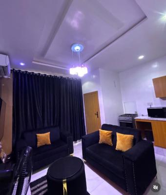 Furnished One Bedroom Apartment, Surulere Lagos, Surulere, Lagos, Mini Flat (room and Parlour) Short Let