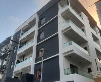 Serviced with 24/7 Power Supply 2 Bedtoom En-suite Flat with Fitted Ki, Ikate, Lekki, Lagos, Flat / Apartment for Rent