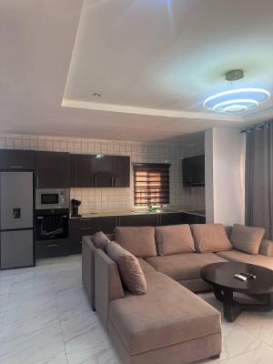 Nicely Furnished 2 Bedroom Apartment, Lekki Phase 1, Lekki, Lagos, Flat / Apartment Short Let