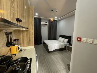Nicely Furnished Studio Apartment, Ikota, Lekki, Lagos, Flat / Apartment Short Let
