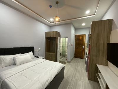 Nicely Furnished Studio Apartment, Ikota, Lekki, Lagos, Flat / Apartment Short Let