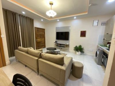 Nicely Furnished 1 Bedroom Apartment, Ikota, Lekki, Lagos, Flat / Apartment Short Let